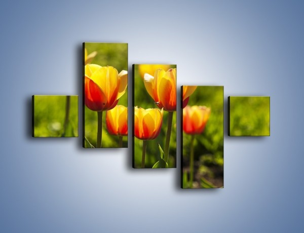 Obraz na płótnie – Pomarańczowe kwiaty i zieleń – pięcioczęściowy K952W3