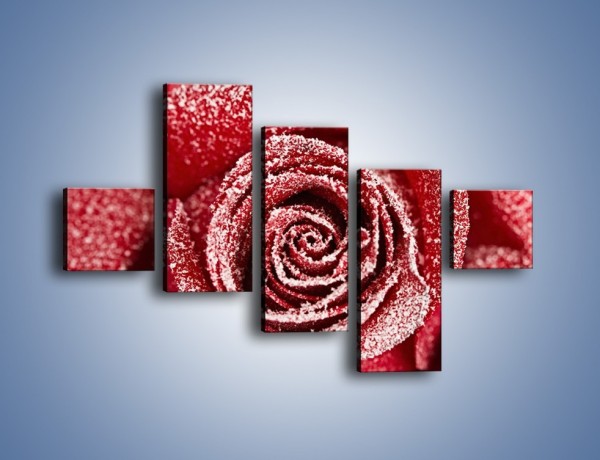 Obraz na płótnie – Szron na różanych płatkach – pięcioczęściowy K958W3