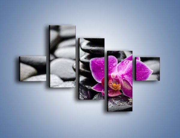 Obraz na płótnie – Malutki kwiatek i morze kamieni – pięcioczęściowy K983W3