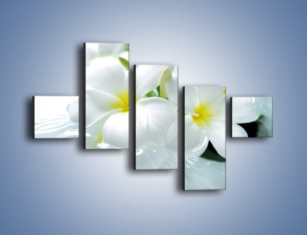 Obraz na płótnie – Białe kwiaty w potoku – pięcioczęściowy K991W3