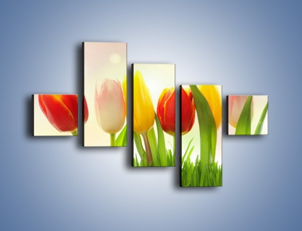 Obraz na płótnie – Sześć małych tulipanków – pięcioczęściowy K996W3