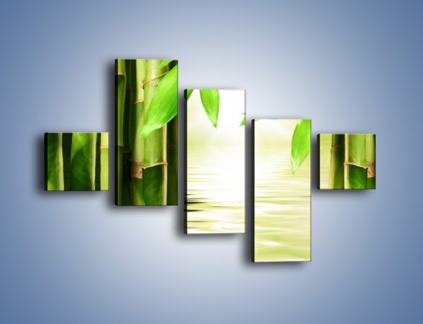 Obraz na płótnie – Bambusowe liście i łodygi – pięcioczęściowy KN027W3