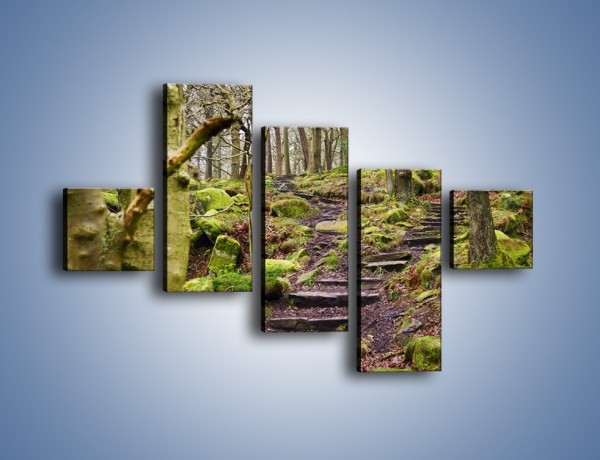 Obraz na płótnie – Schodkami przez las – pięcioczęściowy KN1054W3