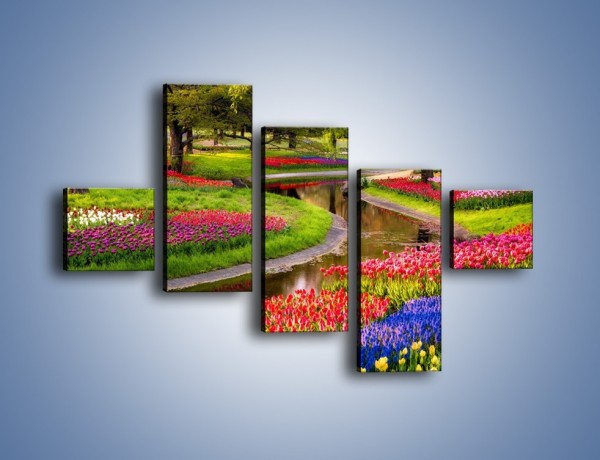 Obraz na płótnie – Aleje kolorowych tulipanów – pięcioczęściowy KN1079W3