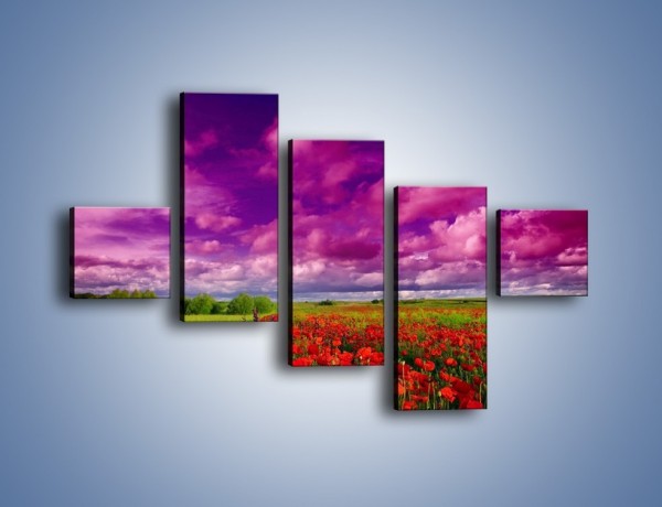 Obraz na płótnie – Maki nad fioletowymi chmurami – pięcioczęściowy KN1079AW3