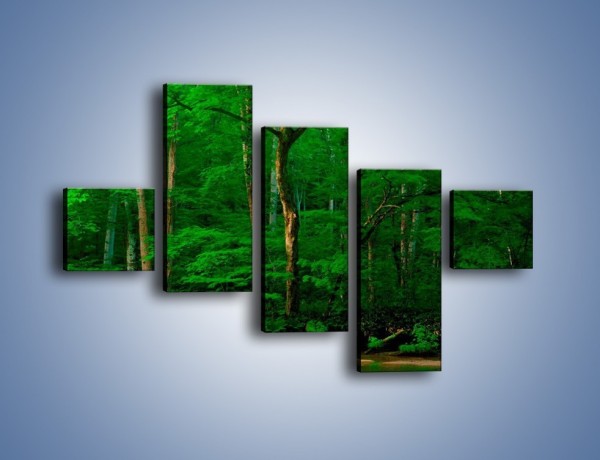 Obraz na płótnie – Mocno zarośnięty las – pięcioczęściowy KN1089AW3