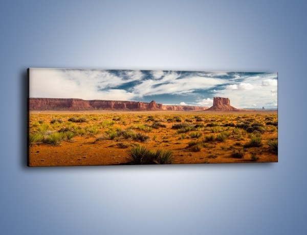 Obraz na płótnie – Kępy trawy na suchym piasku – jednoczęściowy panoramiczny KN1132A