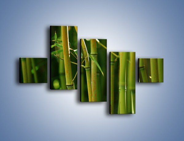 Obraz na płótnie – Bambusowe łodygi z bliska – pięcioczęściowy KN118W3
