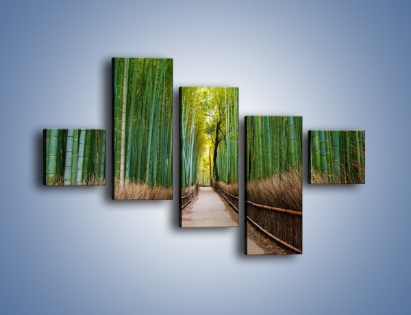 Obraz na płótnie – Bambusowy las – pięcioczęściowy KN1187AW3