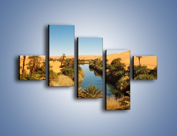 Obraz na płótnie – Woda woda na pustyni – pięcioczęściowy KN1294AW3