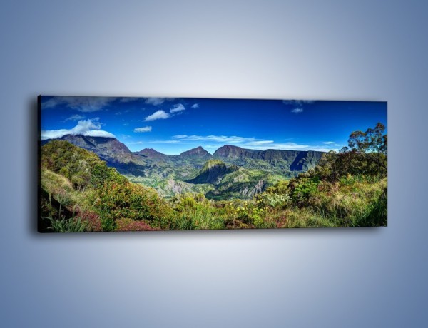 Obraz na płótnie – Cały góry pokryte zielenią – jednoczęściowy panoramiczny KN1140A