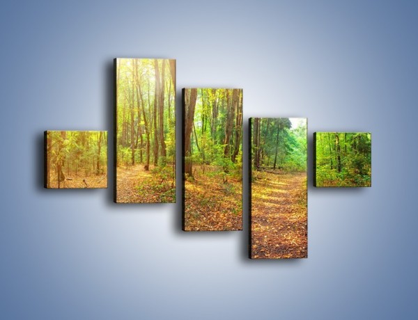 Obraz na płótnie – Przejrzysty piękny las – pięcioczęściowy KN1344AW3