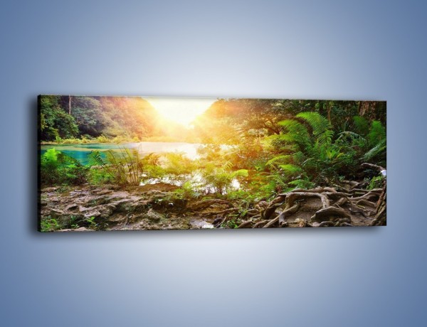 Obraz na płótnie – Konary wśród paproci – jednoczęściowy panoramiczny KN1141A