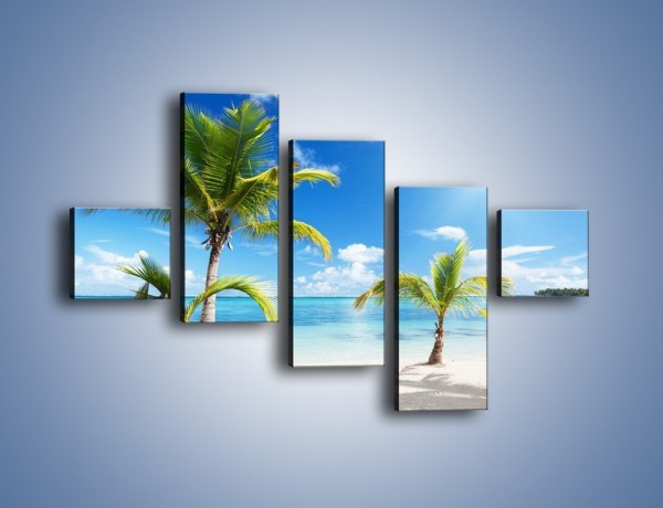 Obraz na płótnie – Palmy na pustej plaży – pięcioczęściowy KN245W3