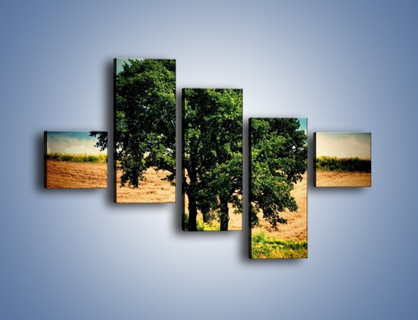 Obraz na płótnie – Para zaprzyjaźnionych drzew – pięcioczęściowy KN571W3