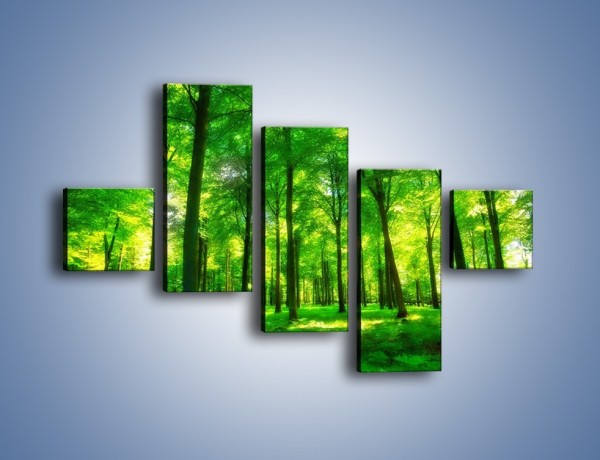 Obraz na płótnie – Dywan z zielonych paproci – pięcioczęściowy KN850W3
