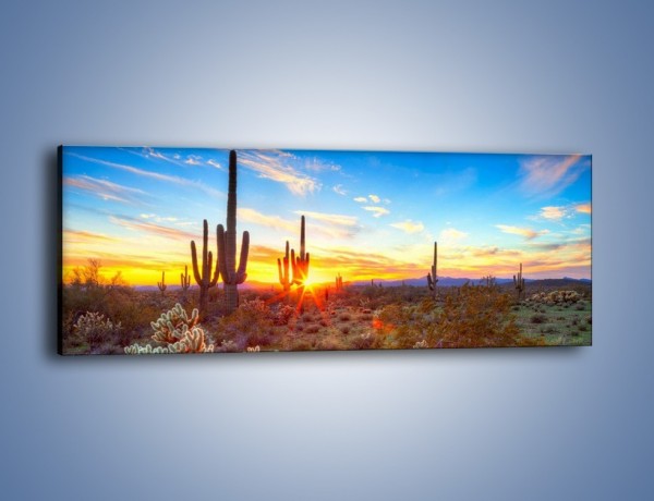 Obraz na płótnie – Rodzina kaktusów – jednoczęściowy panoramiczny KN1148A