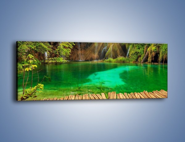 Obraz na płótnie – Zielone oczko wodne i drewno – jednoczęściowy panoramiczny KN1149A
