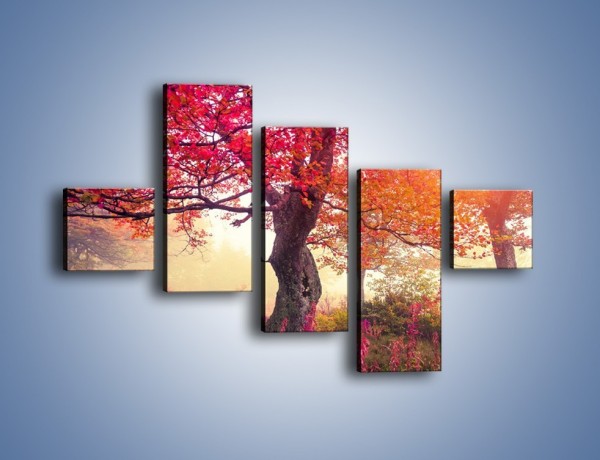 Obraz na płótnie – Kolory na drzewach i na ziemi – pięcioczęściowy KN941W3