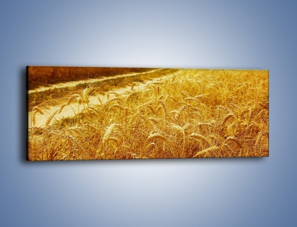 Obraz na płótnie – Pola pełne pszenicy – jednoczęściowy panoramiczny KN115