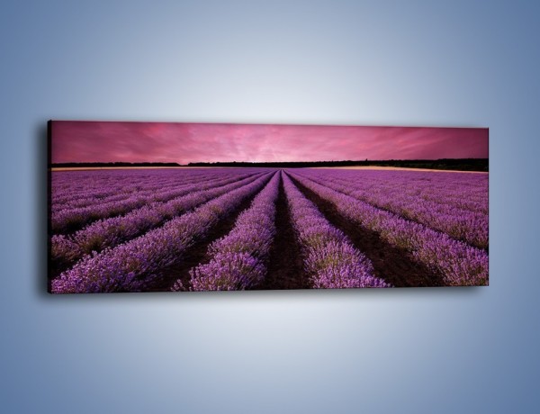 Obraz na płótnie – Utonąć w fiolecie – jednoczęściowy panoramiczny KN1159A
