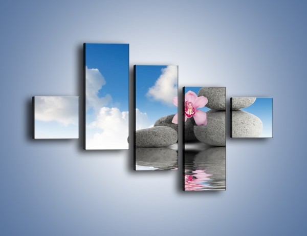 Obraz na płótnie – Różowy storczyk w chmurach – pięcioczęściowy O232W3