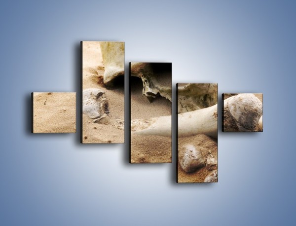 Obraz na płótnie – Starodawne wykopaliska – pięcioczęściowy O254W3
