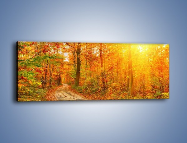 Obraz na płótnie – Leśną drużką jesienią – jednoczęściowy panoramiczny KN1163A