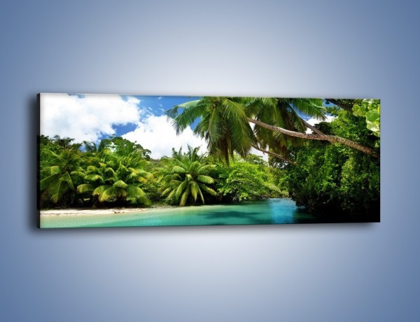 Obraz na płótnie – Rozłożone palmy i woda – jednoczęściowy panoramiczny KN1168A