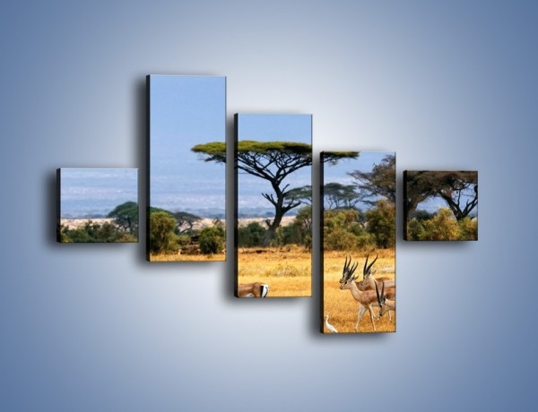 Obraz na płótnie – Antylopy w słonecznej afryce – pięcioczęściowy Z003W3