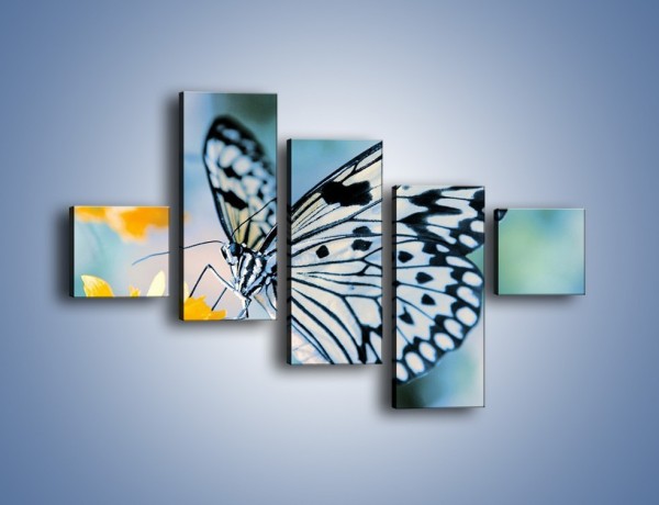 Obraz na płótnie – Motyw zebry w motylu – pięcioczęściowy Z010W3