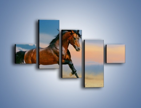 Obraz na płótnie – Brązowy koń na pustyni – pięcioczęściowy Z011W3