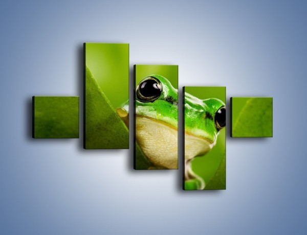 Obraz na płótnie – Zielony świat żabki – pięcioczęściowy Z014W3