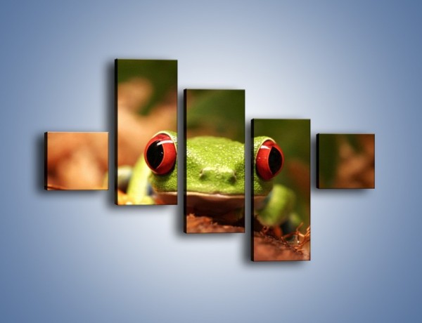 Obraz na płótnie – Bystre oczka małej żabki – pięcioczęściowy Z023W3