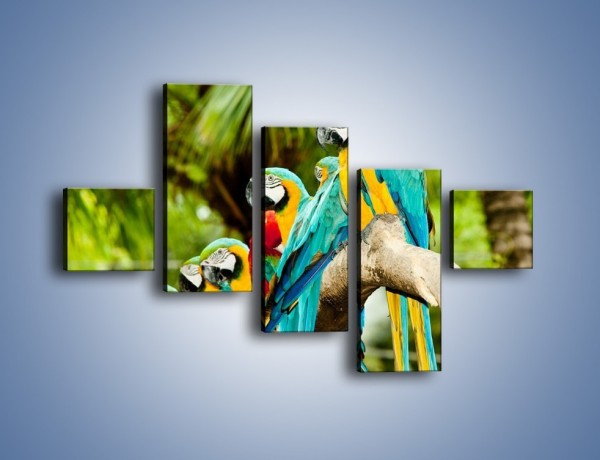 Obraz na płótnie – Kolorowe papugi w szeregu – pięcioczęściowy Z029W3
