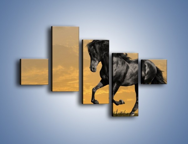 Obraz na płótnie – Bieg z koniem po polanie – pięcioczęściowy Z057W3