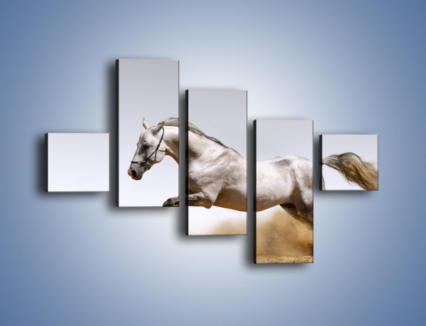 Obraz na płótnie – Srebrny koń w galopie – pięcioczęściowy Z062W3