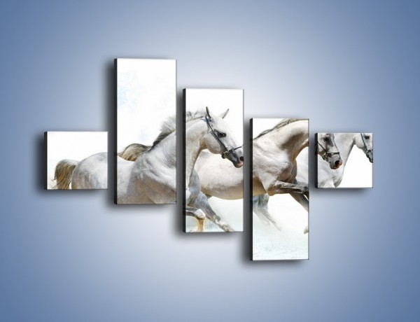 Obraz na płótnie – Końskie trio w zimowym pędzie – pięcioczęściowy Z063W3