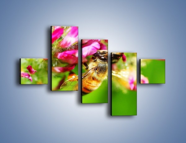 Obraz na płótnie – Pszczoły kochają kwiaty – pięcioczęściowy Z065W3