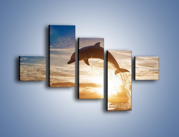 Obraz na płótnie – Z delfinem do nieba – pięcioczęściowy Z074W3