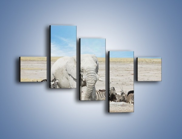 Obraz na płótnie – Słoń i jego przyjaciele – pięcioczęściowy Z080W3