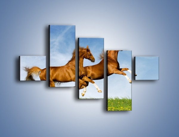 Obraz na płótnie – Skok przez pole z końmi – pięcioczęściowy Z147W3