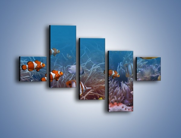Obraz na płótnie – Ocean i jego kolorowi towarzysze – pięcioczęściowy Z168W3
