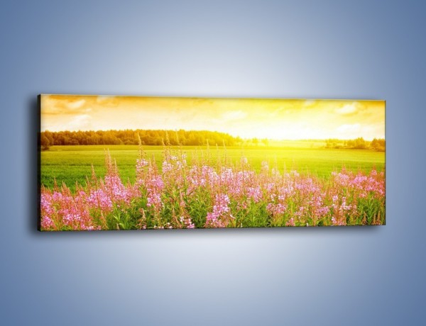 Obraz na płótnie – Cukierkowe kwiatki na polanie – jednoczęściowy panoramiczny KN117