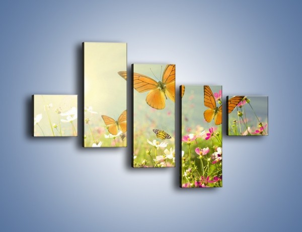 Obraz na płótnie – Z motylem wśród kwiatów – pięcioczęściowy Z193W3
