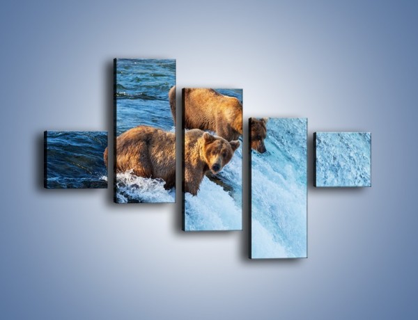 Obraz na płótnie – Niedźwiedzie na zjeżdżalni – pięcioczęściowy Z213W3