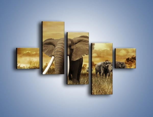 Obraz na płótnie – Drogocenne kły słonia – pięcioczęściowy Z214W3