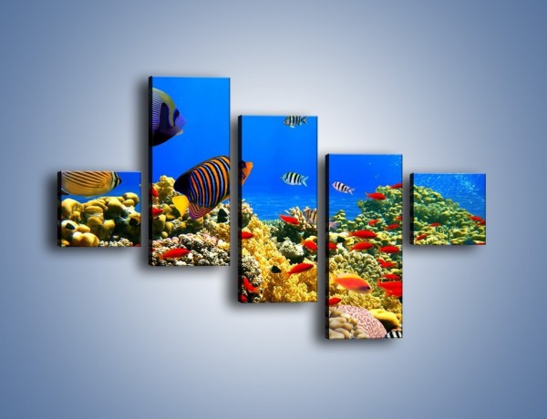 Obraz na płótnie – Kolory tęczy pod wodą – pięcioczęściowy Z220W3