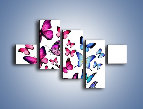 Obraz na płótnie – Rodzina kolorowych motyli – pięcioczęściowy Z235W3