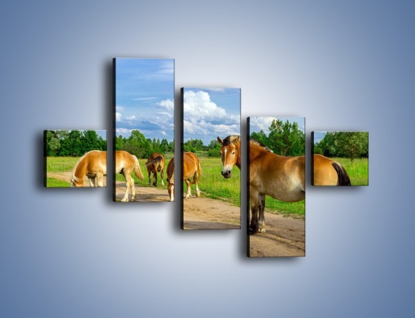 Obraz na płótnie – Konie z gospodarstwa – pięcioczęściowy Z242W3
